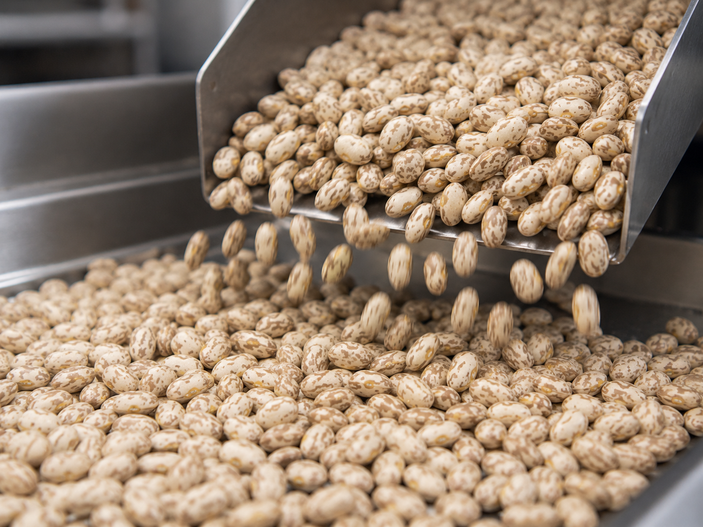 Bean Cleaning New